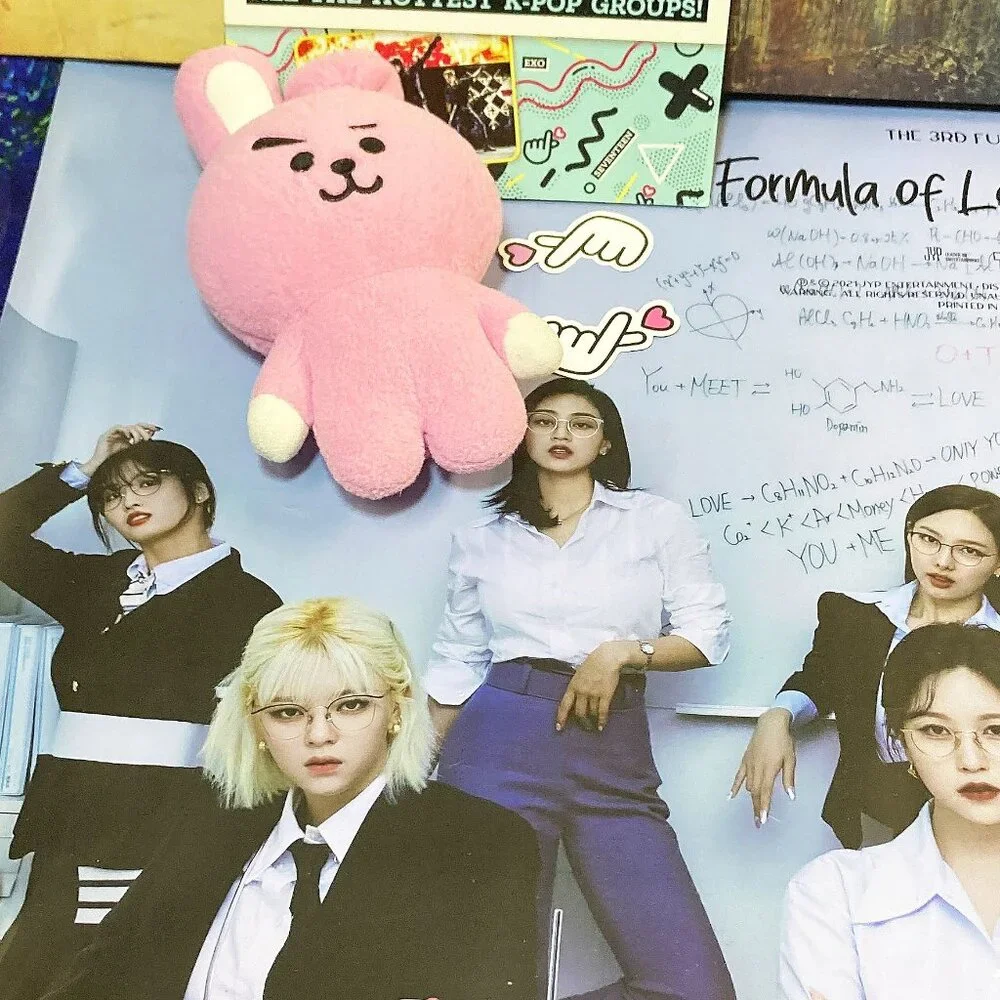 K-POP MUSIC LOT - BTS * TWICE - POSTER , BOOKS , STICKERS, TOYS - KPOP MIXED LOT - Picture 3 of 7
